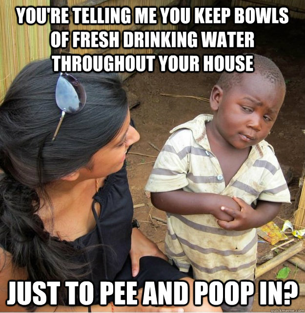 you're telling me you keep bowls of fresh drinking water throughout your house just to pee and poop in?  Skeptical Third World Kid