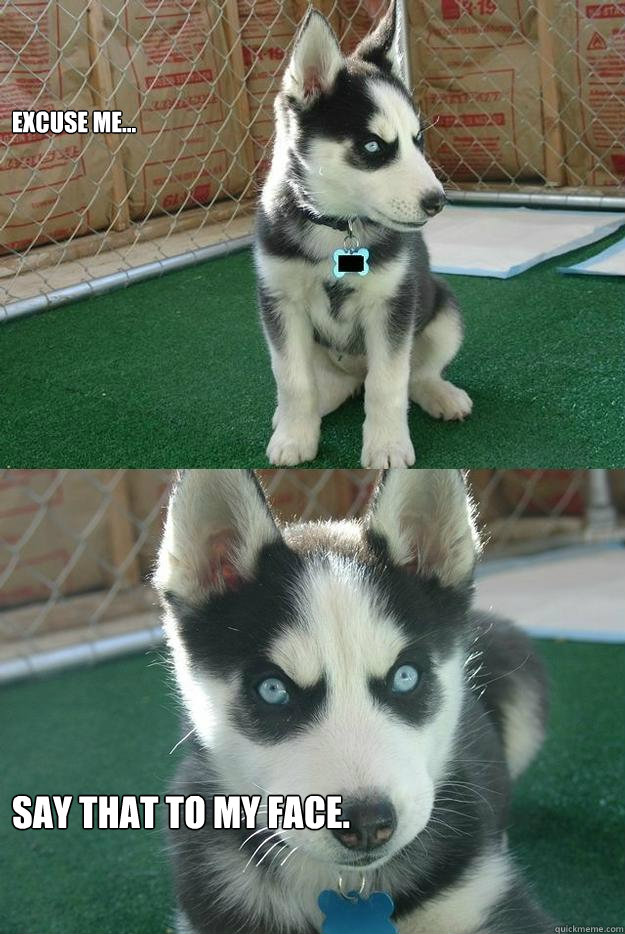 Excuse me... Say that to my face.  Insanity puppy