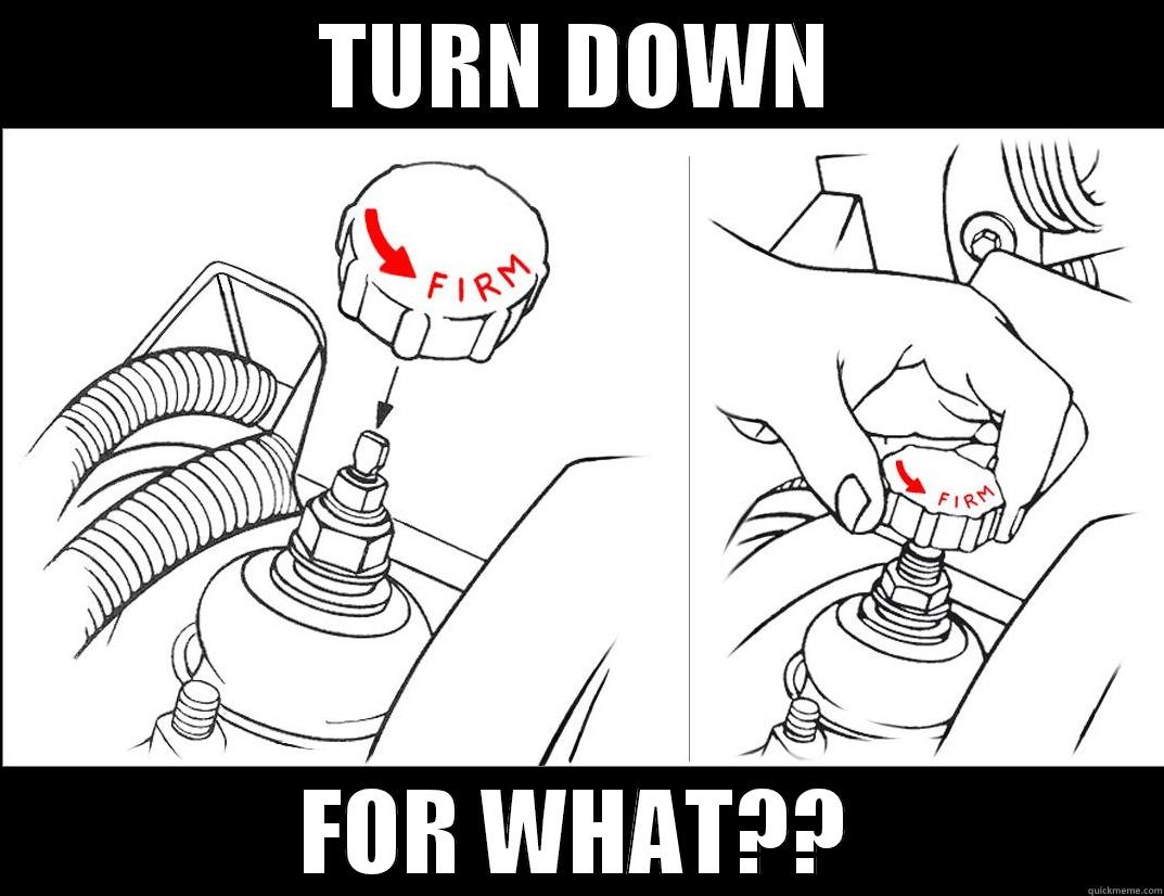 Turn down for what - TURN DOWN FOR WHAT?? Misc