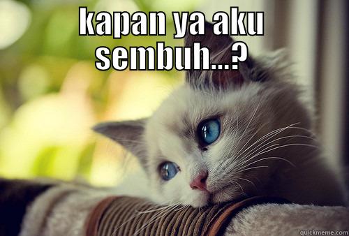 KAPAN YA AKU SEMBUH...?  First World Problems Cat
