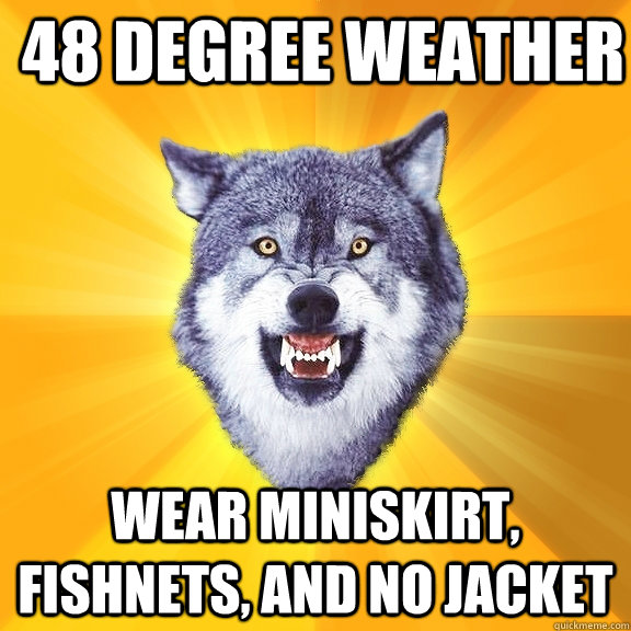 48 degree weather Wear Miniskirt, fishnets, and no jacket  Courage Wolf