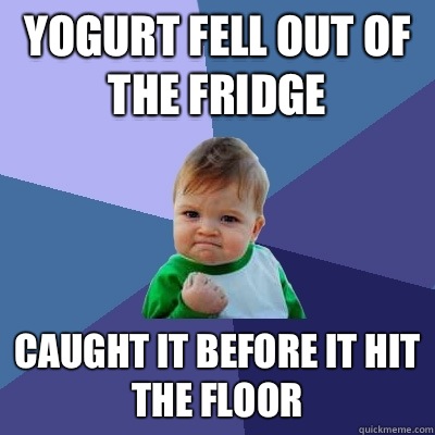 Yogurt fell out of the fridge Caught it before it hit the floor - Yogurt fell out of the fridge Caught it before it hit the floor  Success Kid