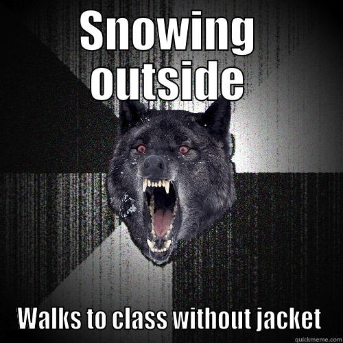 SNOWING OUTSIDE WALKS TO CLASS WITHOUT JACKET Insanity Wolf
