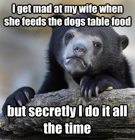 I get mad at my wife when she feeds the dogs table food but secretly I do it all the time  Confession Bear