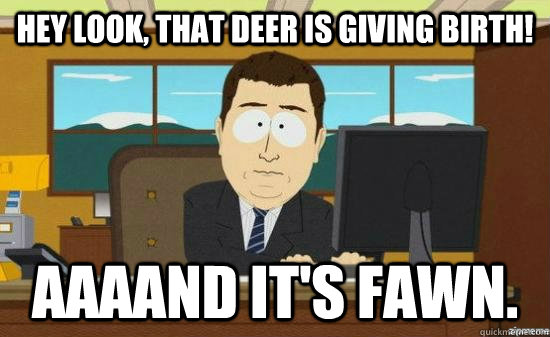 Hey look, that deer is giving birth! Aaaand it's fawn.  aaaand its gone