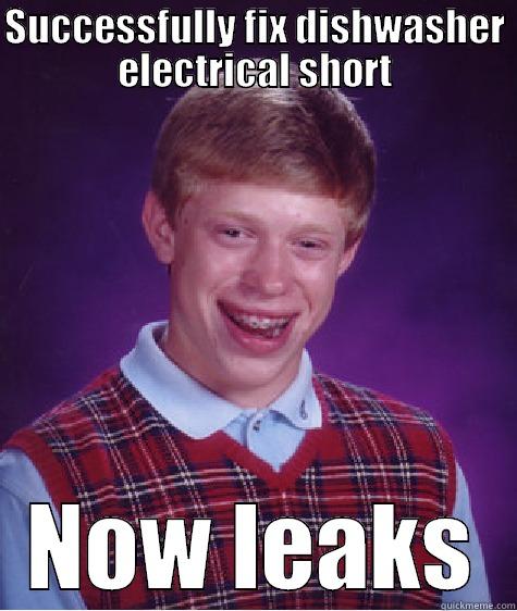 SUCCESSFULLY FIX DISHWASHER ELECTRICAL SHORT NOW LEAKS Bad Luck Brian