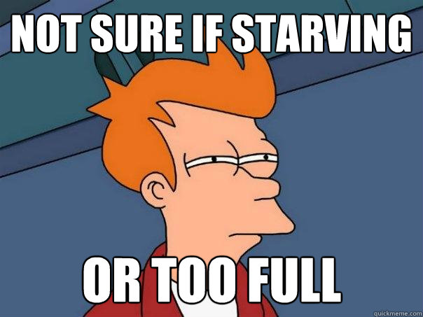 Not sure if starving Or too full - Not sure if starving Or too full  Futurama Fry