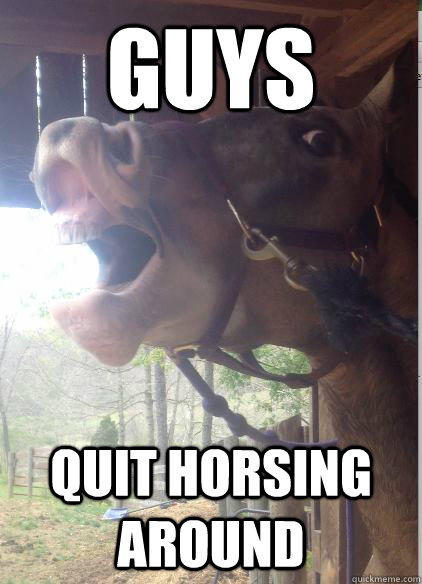 GUYS QUIT HORSING AROUND  