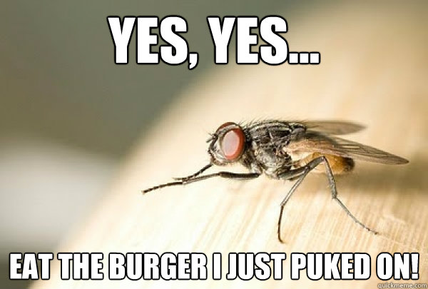 yes, yes... eat the burger i just puked on!  Evil Plotting Fly