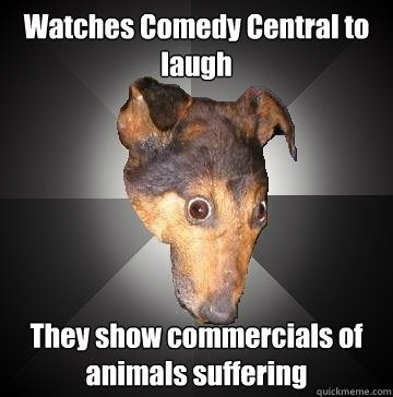 Watches Comedy Central to laugh They show commercials of animals suffering  Depression Dog