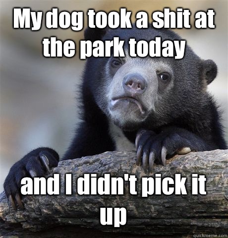 My dog took a shit at the park today and I didn't pick it up  Confession Bear