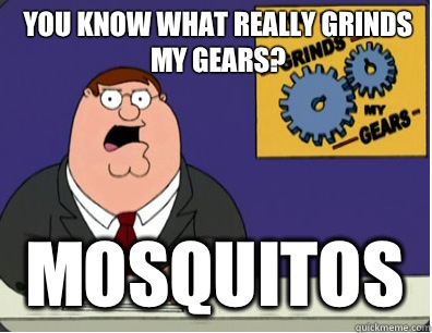 you know what really grinds my gears? Mosquitos  Grinds my gears