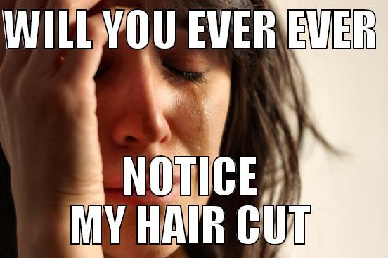 WILL YOU EVER EVER  NOTICE MY HAIR CUT First World Problems