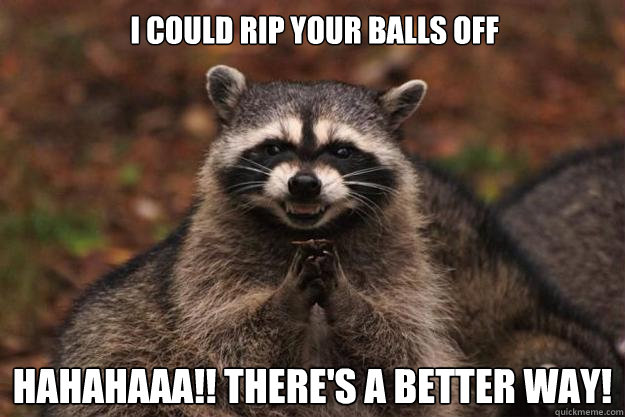 I could rip your balls off hahahaaa!! There's a better way!  Evil Plotting Raccoon