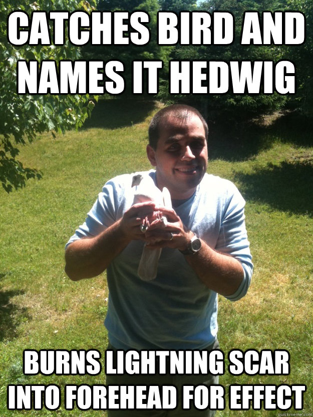 catches bird and names it hedwig burns lightning scar into forehead for effect  