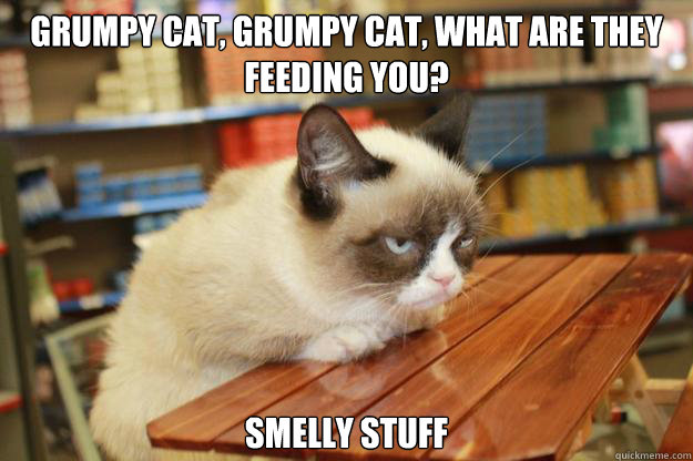 grumpy cat, grumpy cat, what are they feeding you? Smelly stuff - grumpy cat, grumpy cat, what are they feeding you? Smelly stuff  Grumpy Cat Lunch