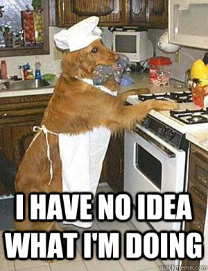 I have no idea what I'm doing  - I have no idea what I'm doing   Cooking Dog