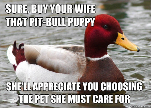 Sure, Buy your wife that Pit-bull puppy She'll appreciate you choosing the pet she must care for  Malicious Advice Mallard