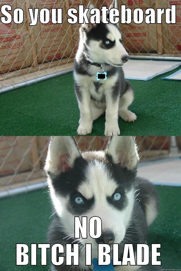 SO YOU SKATEBOARD  NO BITCH I BLADE Insanity puppy