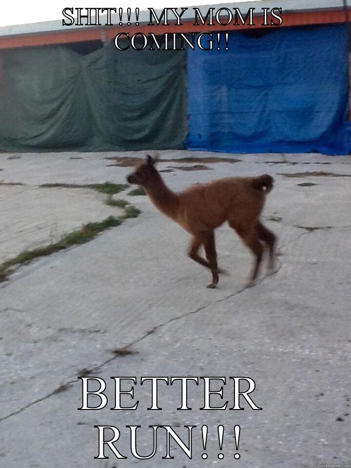 SHIT!!! MY MOM IS COMING!! BETTER RUN!!! Misc