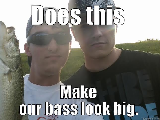 DOES THIS MAKE OUR BASS LOOK BIG. Misc