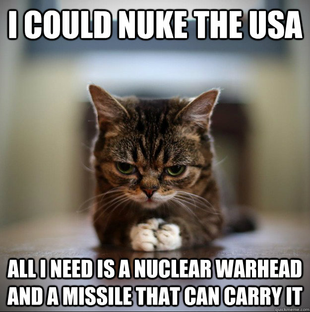 I could nuke the usa All I need is a nuclear warhead and a missile that can carry it - I could nuke the usa All I need is a nuclear warhead and a missile that can carry it  World Domination Kitty