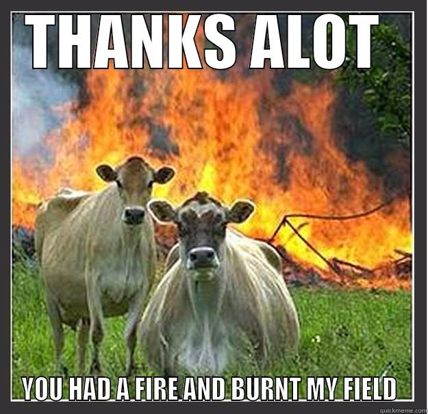 THANKS ALOT  YOU HAD A FIRE AND BURNT MY FIELD  Evil cows