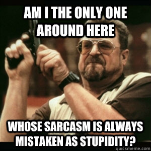 Am i the only one around here whose sarcasm is always mistaken as stupidity?  Am I The Only One Round Here