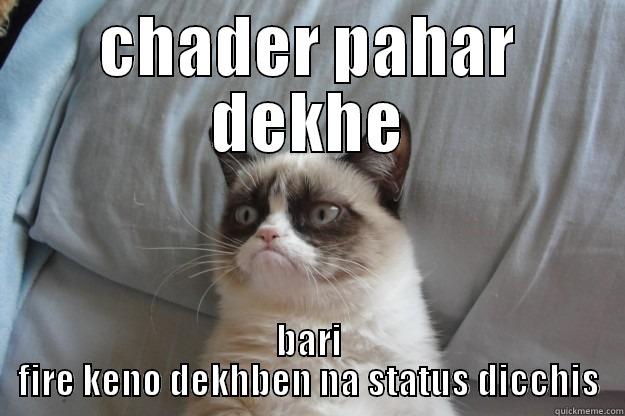 CHADER PAHAR DEKHE BARI FIRE KENO DEKHBEN NA STATUS DICCHIS Grumpy Cat