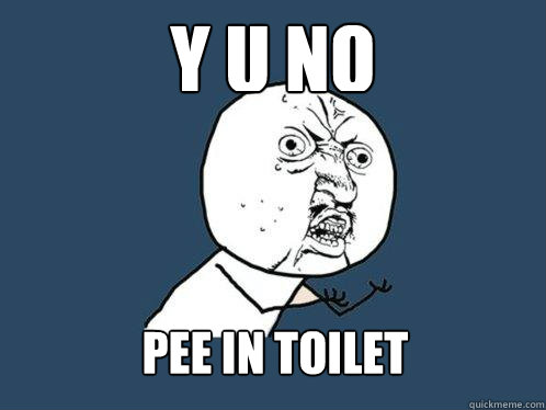 Y U NO PEE IN TOILET  Y U No