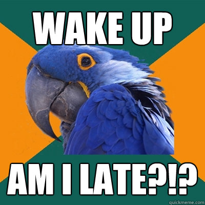 Wake up  Am i late?!?  Paranoid Parrot