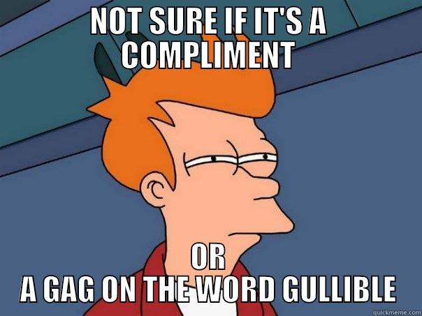 NOT SURE IF IT'S A COMPLIMENT OR A GAG ON THE WORD GULLIBLE Futurama Fry