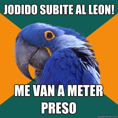 jodido subite al leon! me van a meter preso  Paranoid Parrot