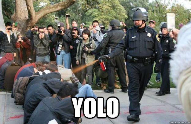  YOLO  
