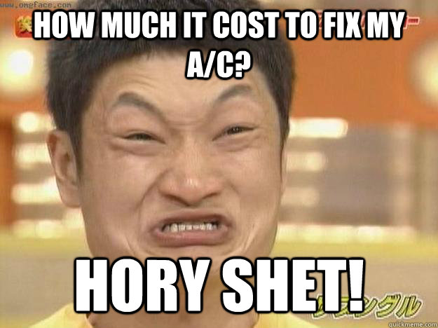 how much it cost to fix my a/c? Hory Shet!  