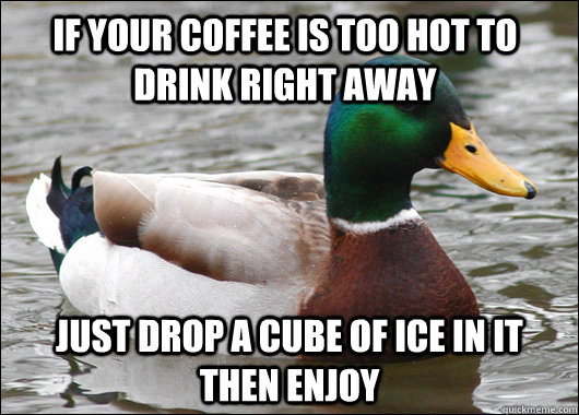 if your coffee is too hot to drink right away just drop a cube of ice in it then enjoy - if your coffee is too hot to drink right away just drop a cube of ice in it then enjoy  Actual Advice Mallard