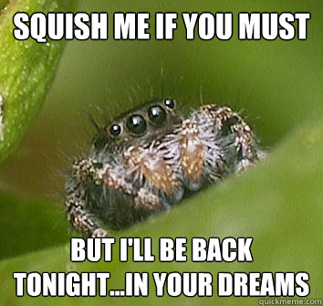 squish me if you must but i'll be back  tonight...in your dreams  Misunderstood Spider