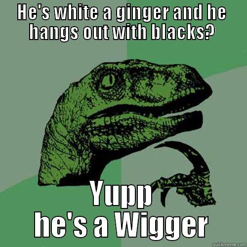 HE'S WHITE A GINGER AND HE HANGS OUT WITH BLACKS? YUPP HE'S A WIGGER Philosoraptor