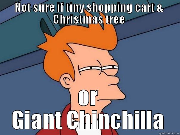 NOT SURE IF TINY SHOPPING CART & CHRISTMAS TREE OR GIANT CHINCHILLA Futurama Fry