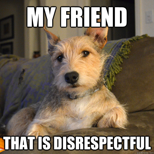 My Friend That is disrespectful - My Friend That is disrespectful  My friend dog