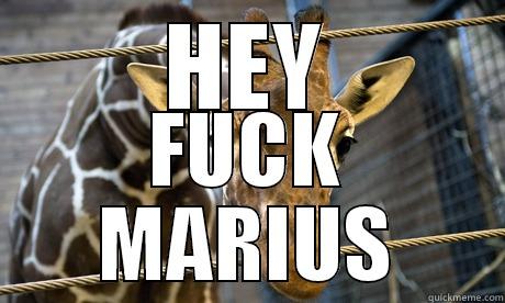 HEY FUCK MARIUS Misc