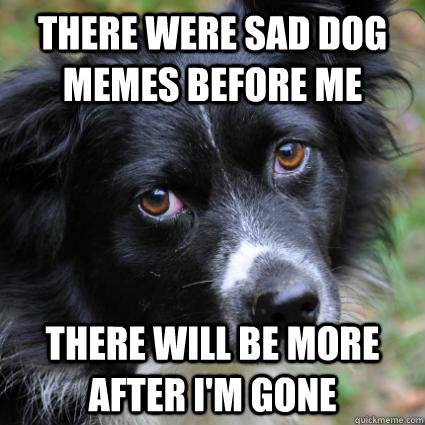 there were sad dog memes before me there will be more after I'm gone - there were sad dog memes before me there will be more after I'm gone  Misc