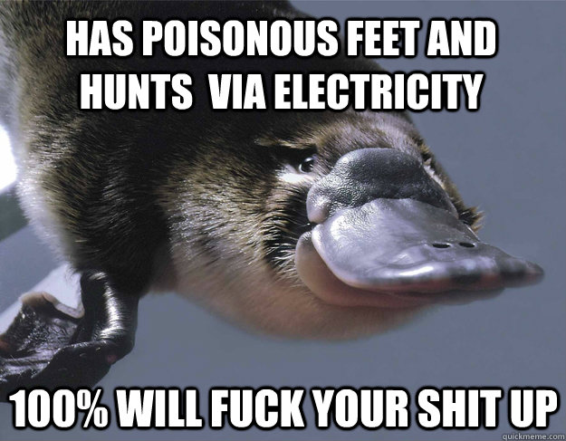 has poisonous feet and hunts  via electricity 100% Will fuck your shit up  