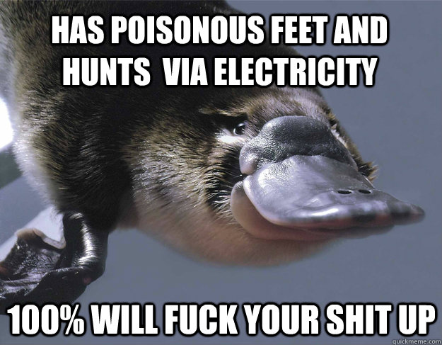 has poisonous feet and hunts  via electricity 100% Will fuck your shit up  Platypus