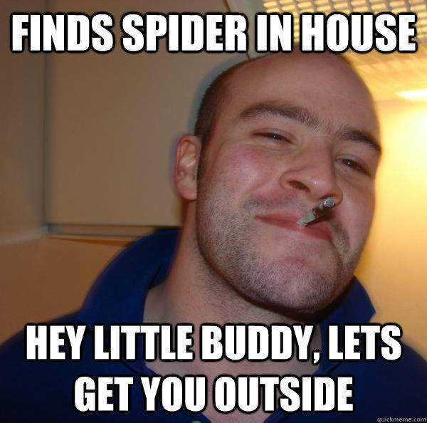 Finds spider in house Hey little buddy, lets get you outside - Finds spider in house Hey little buddy, lets get you outside  Good Guy Greg 