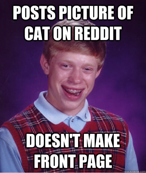 Posts picture of cat on reddit doesn't make front page  Bad Luck Brian