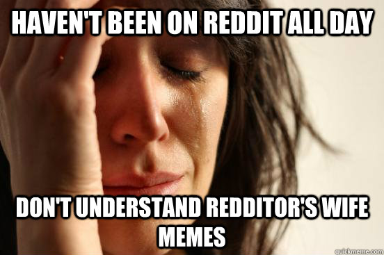 Haven't been on reddit all day don't understand redditor's wife memes  First World Problems