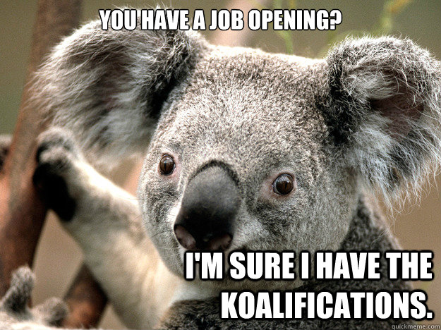 You have a job opening? I'm sure I have the koalifications.    - You have a job opening? I'm sure I have the koalifications.     Not too smart koala