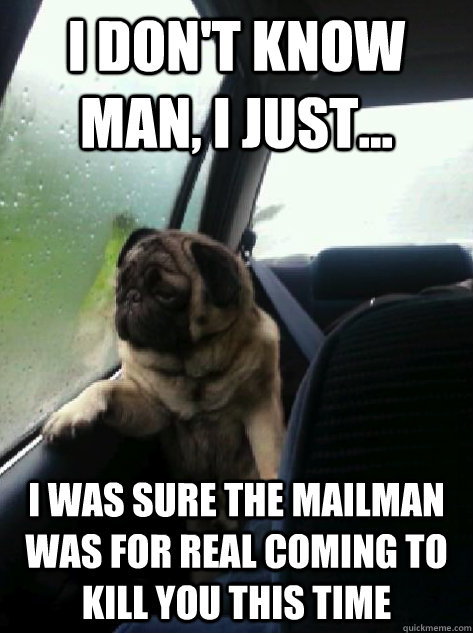I don't know man, I just... i was sure the mailman was for real coming to kill you this time  - I don't know man, I just... i was sure the mailman was for real coming to kill you this time   Introspective Pug