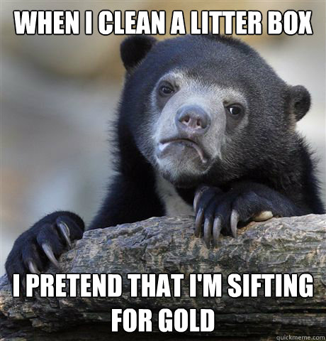 When I clean a litter box I pretend that i'm sifting for gold - When I clean a litter box I pretend that i'm sifting for gold  Confession Bear
